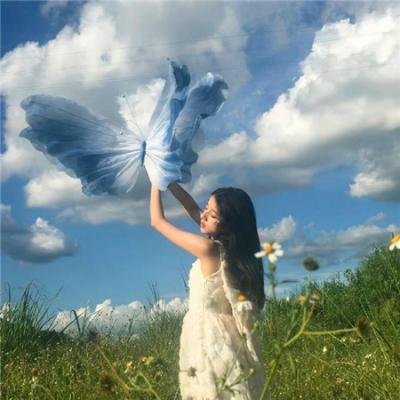 彩凤笙歌